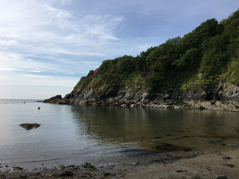 Wild Swimming In Cornwall