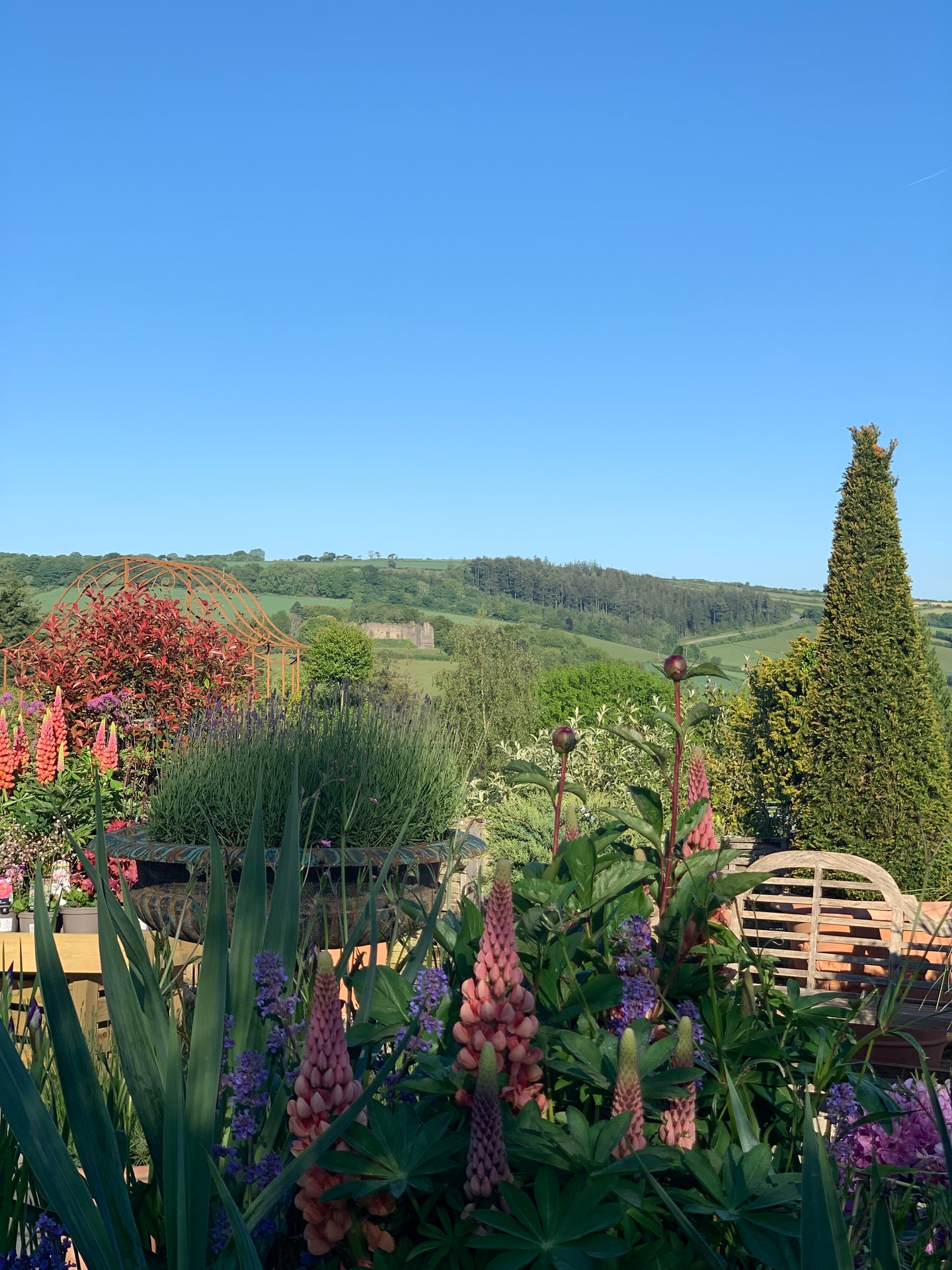 Botanical Dyeing At Duchy of Cornwall Nursery: Friday 16th June 2023